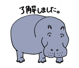 hippopotamus's sticker sticker #3856358