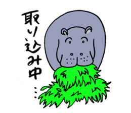 hippopotamus's sticker sticker #3856359