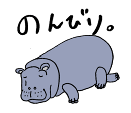 hippopotamus's sticker sticker #3856361