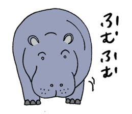 hippopotamus's sticker sticker #3856363