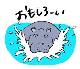 hippopotamus's sticker sticker #3856365