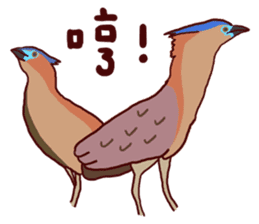 Big Bird (Gorsachius melanolophus) sticker #3857591