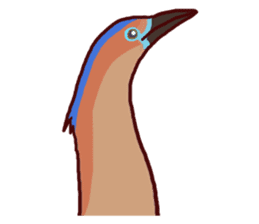 Big Bird (Gorsachius melanolophus) sticker #3857593