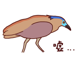 Big Bird (Gorsachius melanolophus) sticker #3857597