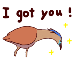 Big Bird (Gorsachius melanolophus) sticker #3857598