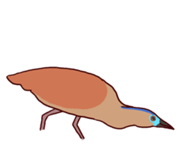 Big Bird (Gorsachius melanolophus) sticker #3857599