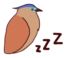 Big Bird (Gorsachius melanolophus) sticker #3857600