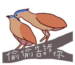 Big Bird (Gorsachius melanolophus) sticker #3857602