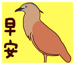 Big Bird (Gorsachius melanolophus) sticker #3857603