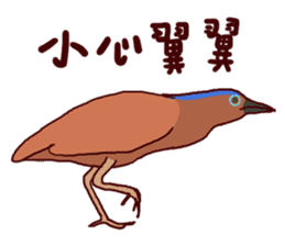 Big Bird (Gorsachius melanolophus) sticker #3857609