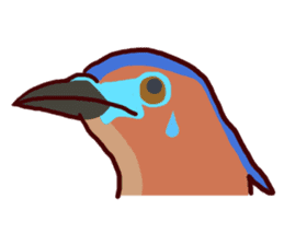 Big Bird (Gorsachius melanolophus) sticker #3857611