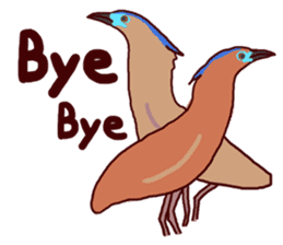 Big Bird (Gorsachius melanolophus) sticker #3857612