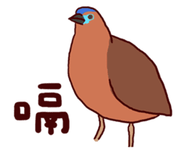 Big Bird (Gorsachius melanolophus) sticker #3857614