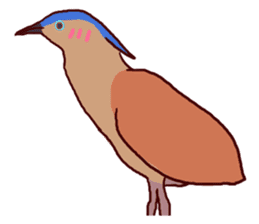 Big Bird (Gorsachius melanolophus) sticker #3857616