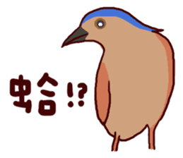Big Bird (Gorsachius melanolophus) sticker #3857618