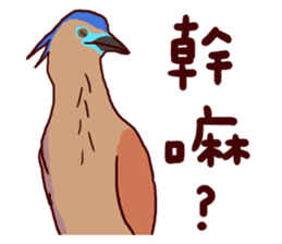 Big Bird (Gorsachius melanolophus) sticker #3857620