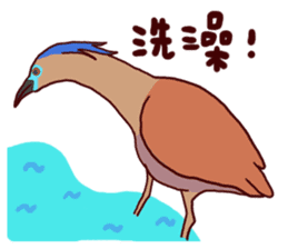 Big Bird (Gorsachius melanolophus) sticker #3857623