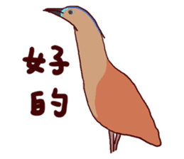 Big Bird (Gorsachius melanolophus) sticker #3857625