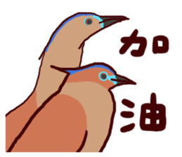 Big Bird (Gorsachius melanolophus) sticker #3857626