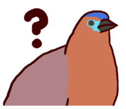 Big Bird (Gorsachius melanolophus) sticker #3857629