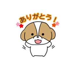 Playful cute Shih Tzu sticker sticker #3857993
