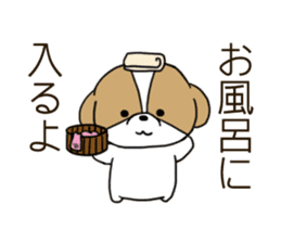 Playful cute Shih Tzu sticker sticker #3858000