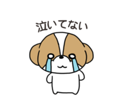Playful cute Shih Tzu sticker sticker #3858003