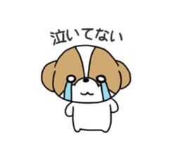 Playful cute Shih Tzu sticker sticker #3858003