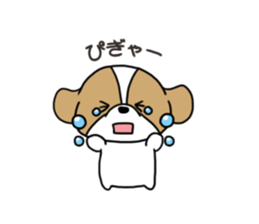 Playful cute Shih Tzu sticker sticker #3858004