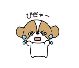 Playful cute Shih Tzu sticker sticker #3858004