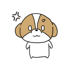 Playful cute Shih Tzu sticker sticker #3858005
