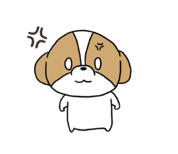 Playful cute Shih Tzu sticker sticker #3858005