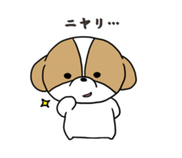 Playful cute Shih Tzu sticker sticker #3858010