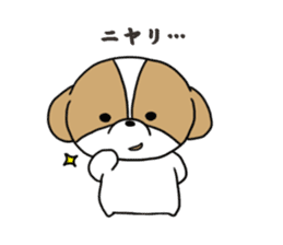 Playful cute Shih Tzu sticker sticker #3858010