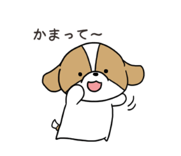 Playful cute Shih Tzu sticker sticker #3858013