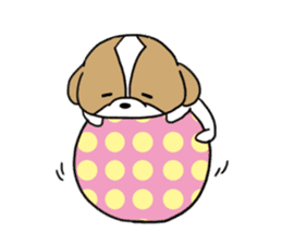 Playful cute Shih Tzu sticker sticker #3858017