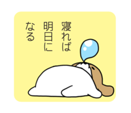 Playful cute Shih Tzu sticker sticker #3858021