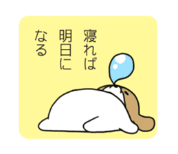 Playful cute Shih Tzu sticker sticker #3858021