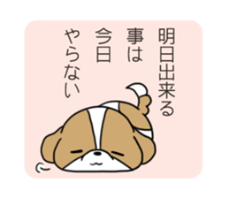 Playful cute Shih Tzu sticker sticker #3858022