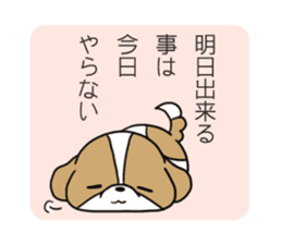 Playful cute Shih Tzu sticker sticker #3858022