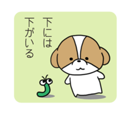 Playful cute Shih Tzu sticker sticker #3858023