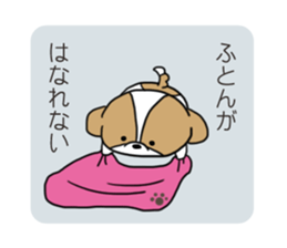 Playful cute Shih Tzu sticker sticker #3858025