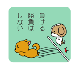 Playful cute Shih Tzu sticker sticker #3858029