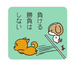 Playful cute Shih Tzu sticker sticker #3858029