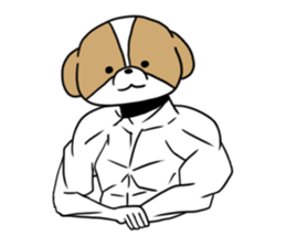 Playful cute Shih Tzu sticker sticker #3858030