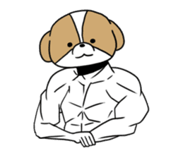 Playful cute Shih Tzu sticker sticker #3858030