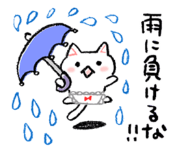 The first half of the cat of season sticker #3859168