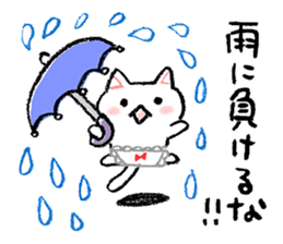 The first half of the cat of season sticker #3859168