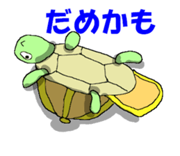 Cap Turtles sticker #3867617
