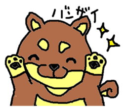 shiba chan dog sticker #3868407